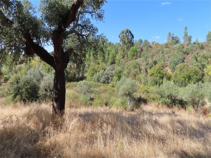 Image No.20-Property for sale