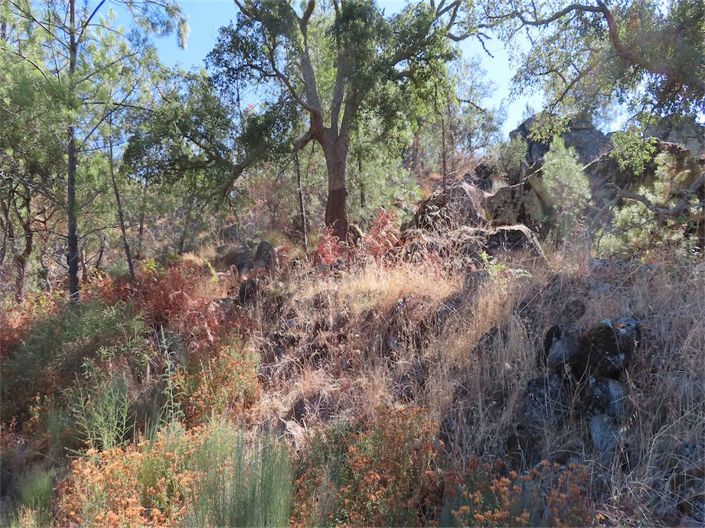 Image No.22-Property for sale