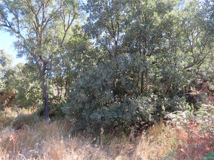 Image No.24-Property for sale