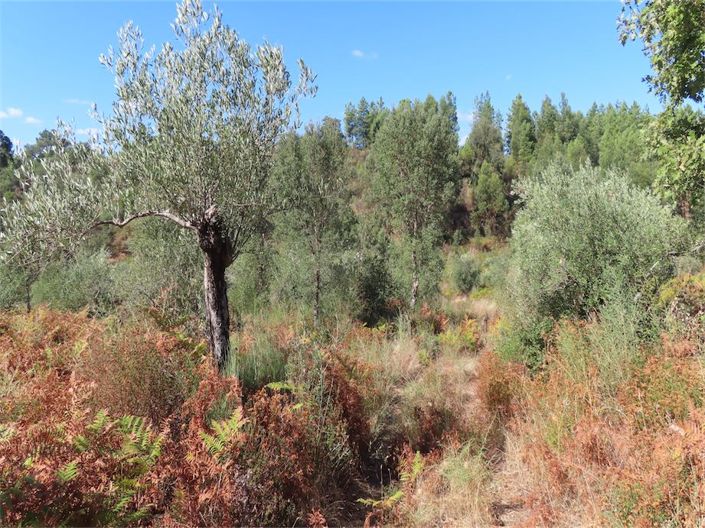 Image No.27-Property for sale