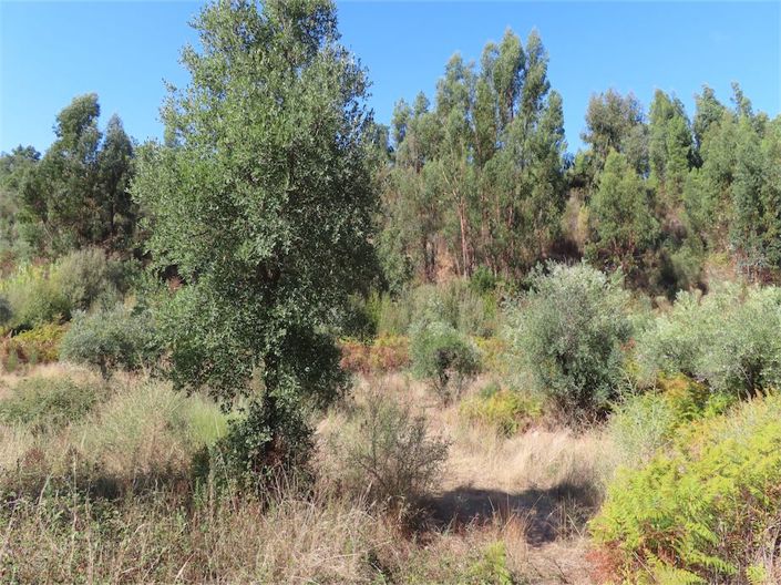 Image No.29-Property for sale