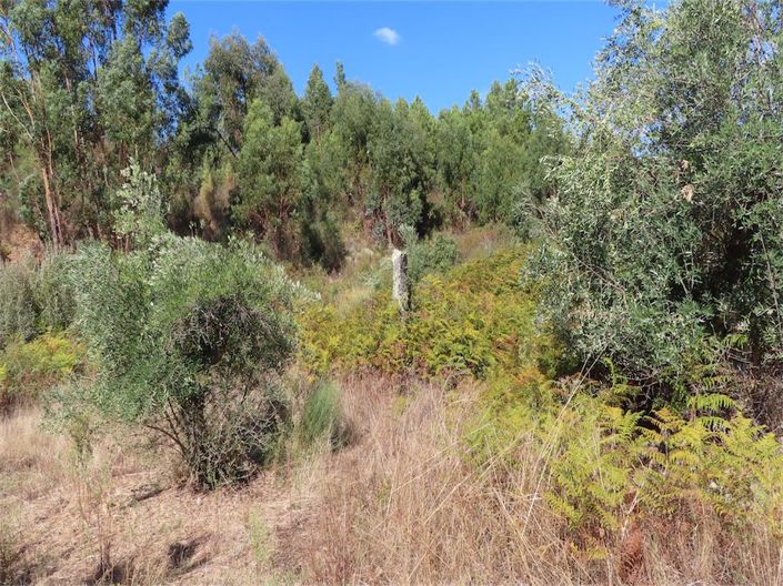 Image No.30-Property for sale