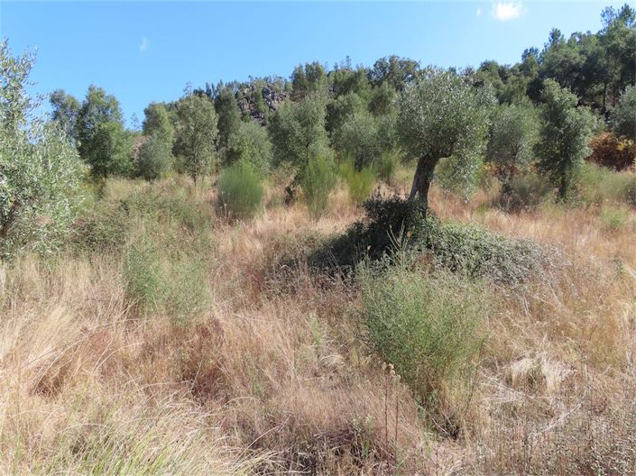 Image No.31-Property for sale