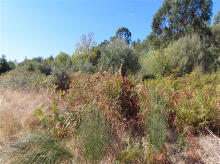 Image No.33-Property for sale