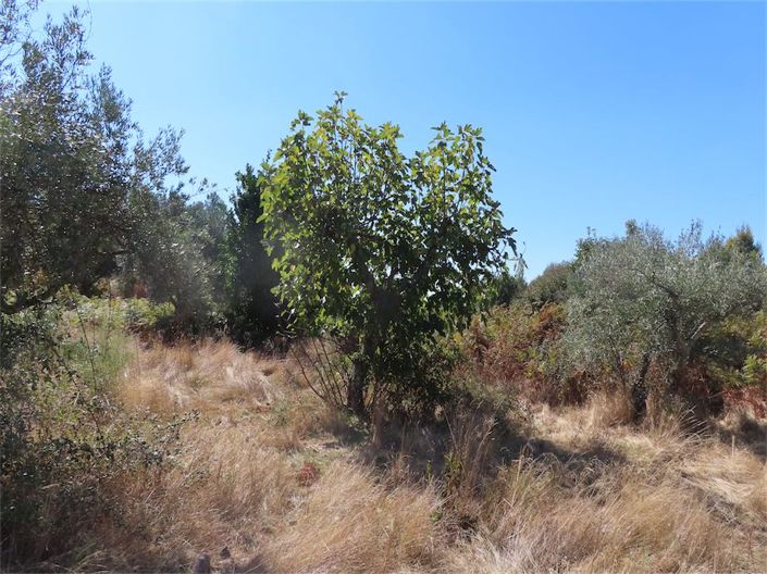 Image No.34-Property for sale