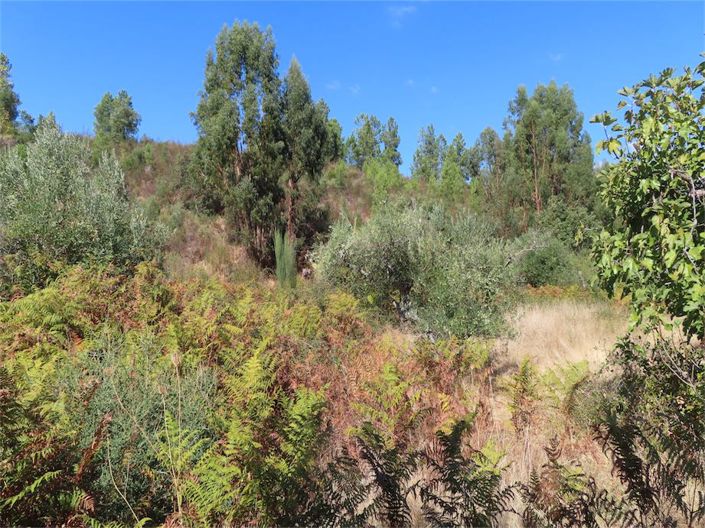 Image No.36-Property for sale