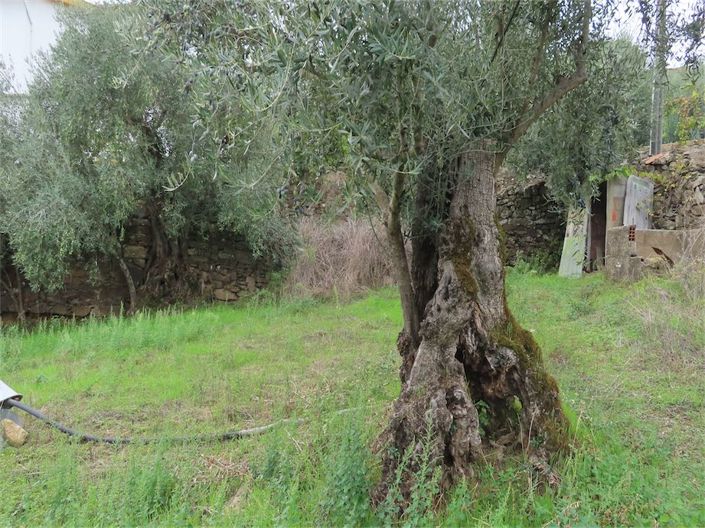 Image No.10-Property for sale