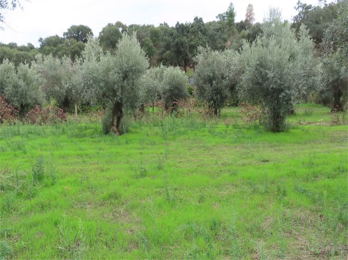 Image No.12-Property for sale