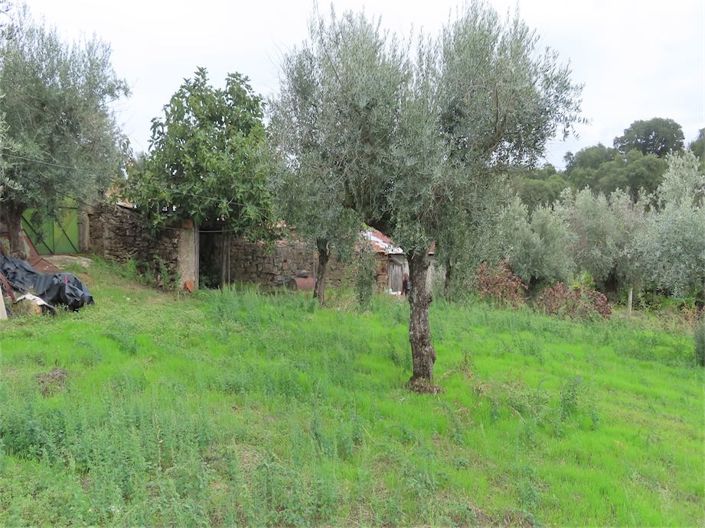 Image No.13-Property for sale