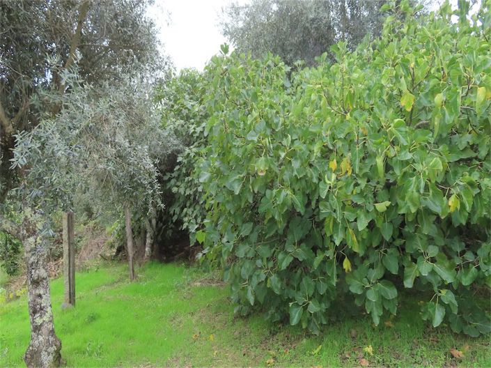 Image No.14-Property for sale