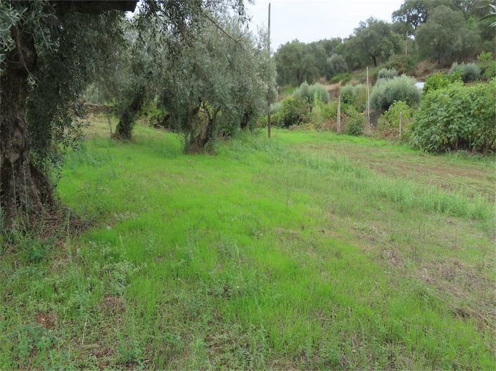 Image No.17-Property for sale