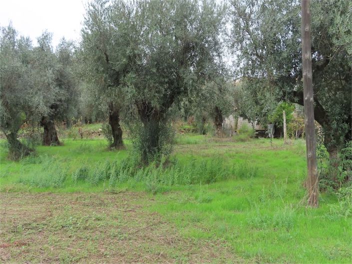 Image No.21-Property for sale