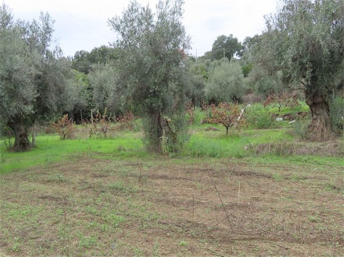 Image No.25-Property for sale