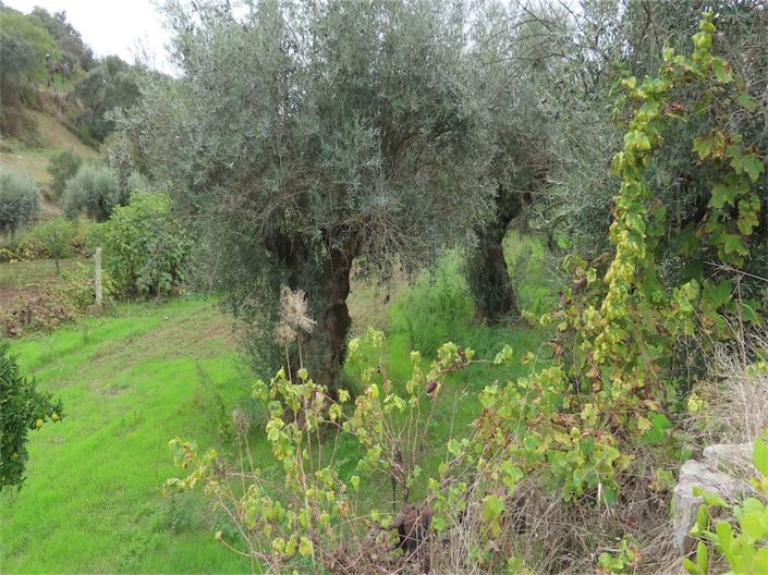 Image No.28-Property for sale