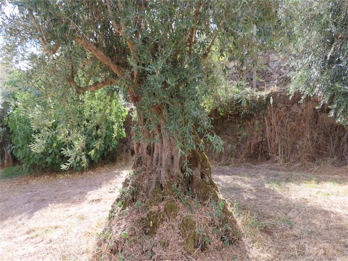 Image No.33-Property for sale