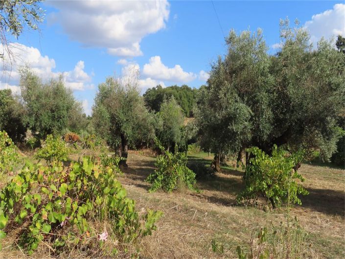 Image No.34-Property for sale