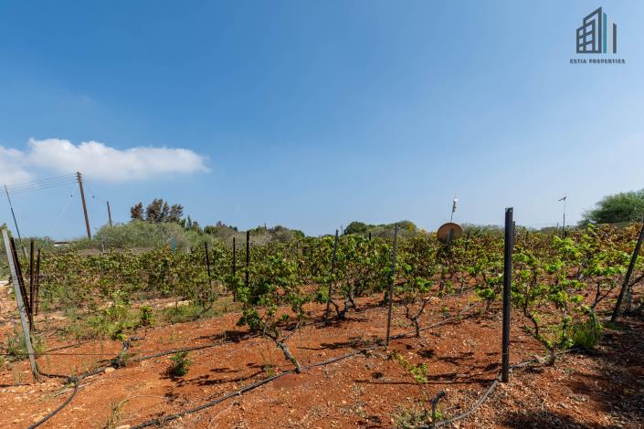 Image No.32-4 Bed Villa for sale