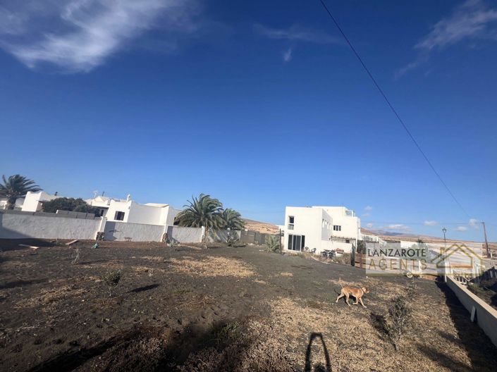 Image No.33-5 Bed Finca for sale