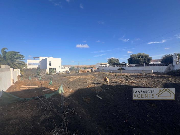 Image No.34-5 Bed Finca for sale