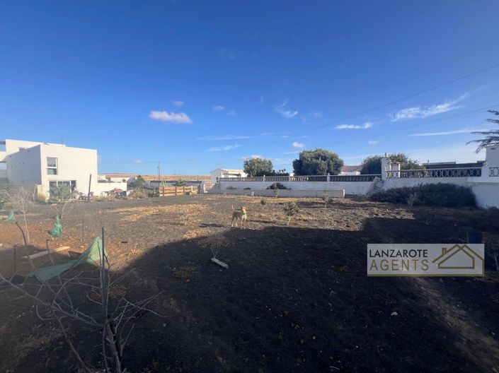 Image No.35-5 Bed Finca for sale