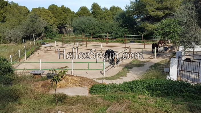 Image No.30-1 Bed Apartment for sale