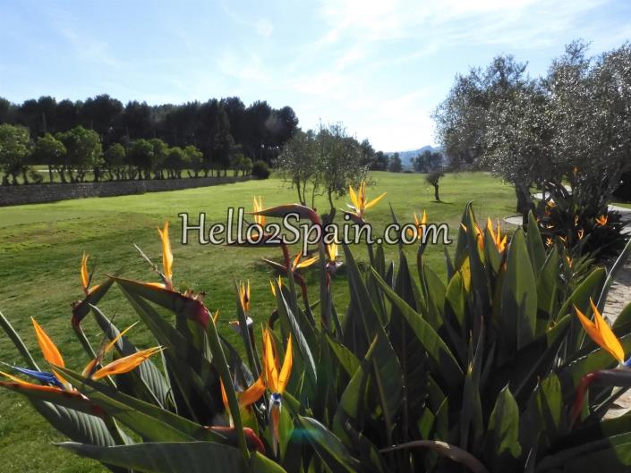 Image No.43-1 Bed Apartment for sale