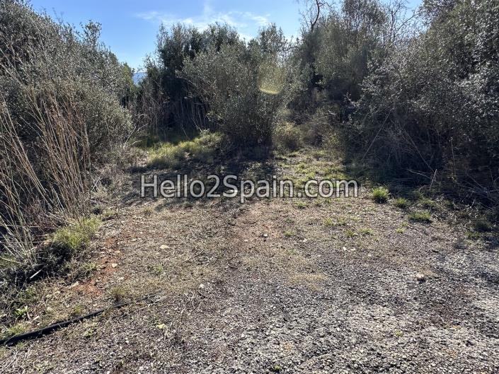 Image No.6-4 Bed Land for sale