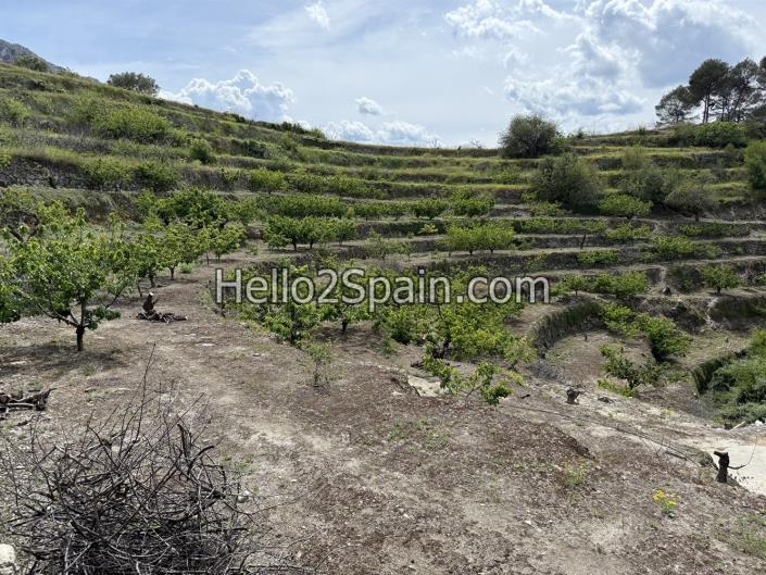 Image No.1-Land for sale