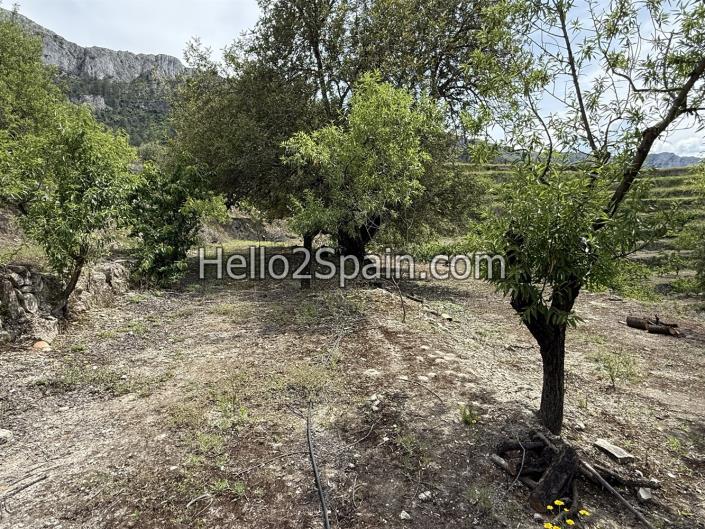 Image No.9-Land for sale