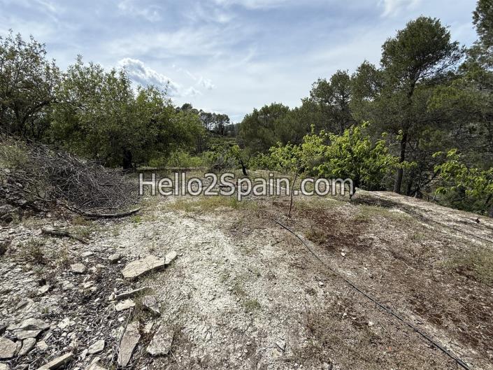 Image No.12-Land for sale