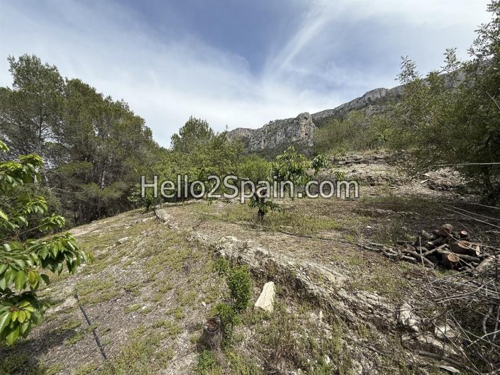 Image No.14-Land for sale