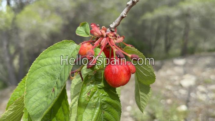 Image No.16-Land for sale