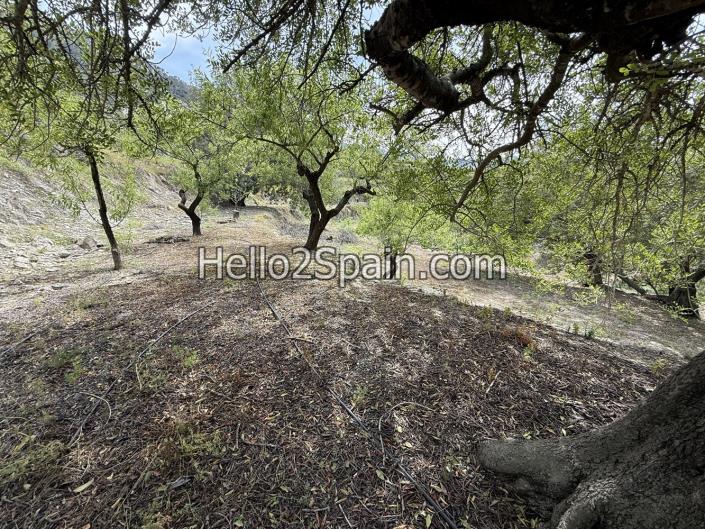 Image No.15-Land for sale