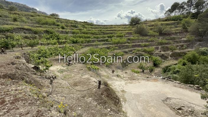 Image No.19-Land for sale