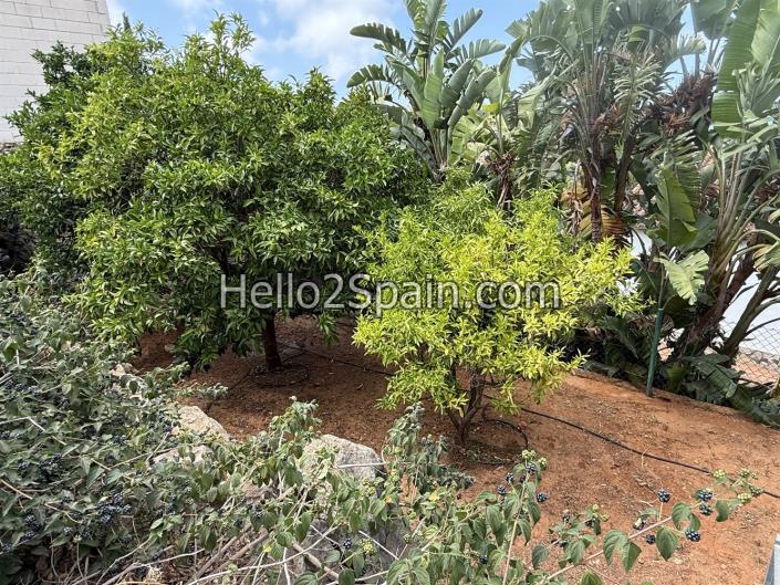 Image No.45-4 Bed Villa / Detached for sale