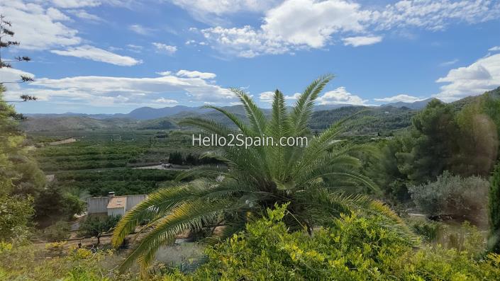 Image No.39-4 Bed Country House for sale