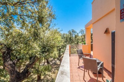terrace (3)