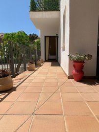 terrace (4)