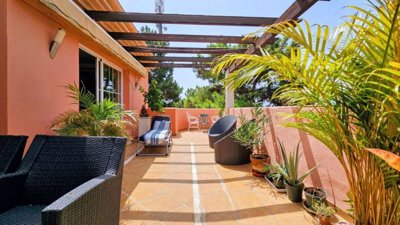 terrace (1)