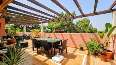 terrace (5)