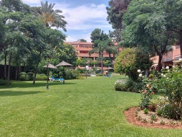 garden (1)