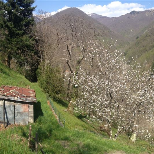 Image No.19-2 Bed Property for sale