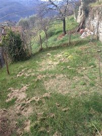 foto101088975