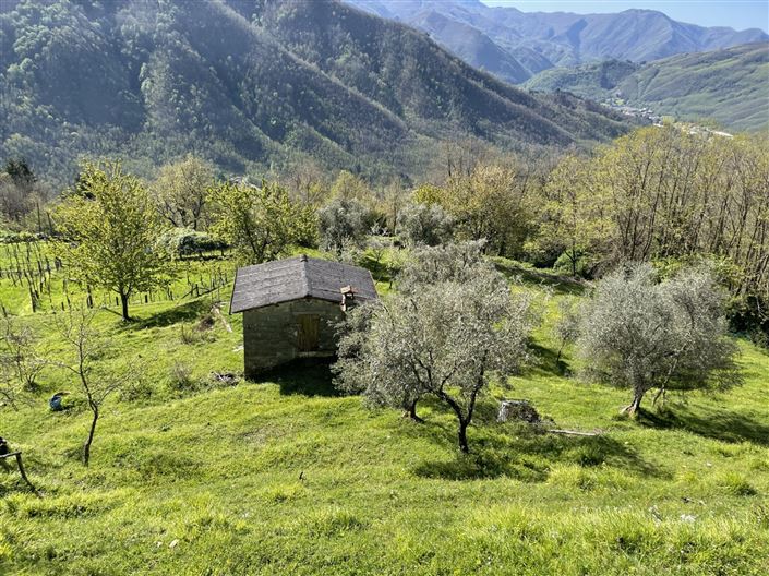 Image No.3-2 Bed Property for sale