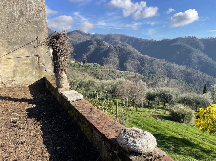 Image No.6-3 Bed Property for sale