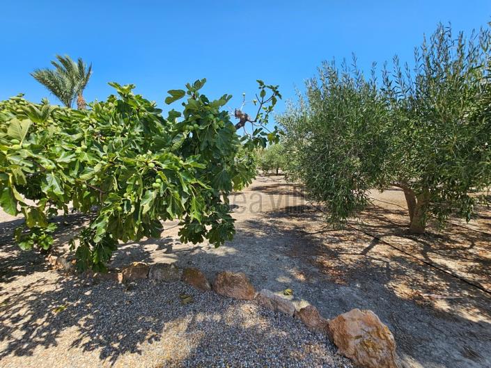 Image No.44-3 Bed Villa for sale