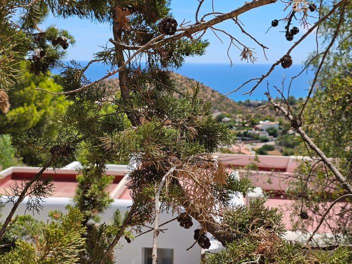 Image No.34-4 Bed Villa / Detached for sale