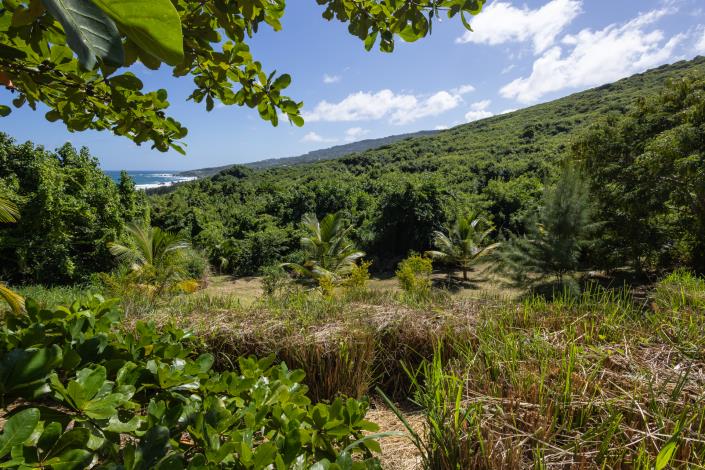 Image No.6-Land for sale