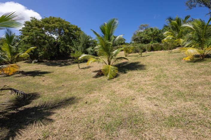 Image No.9-Land for sale