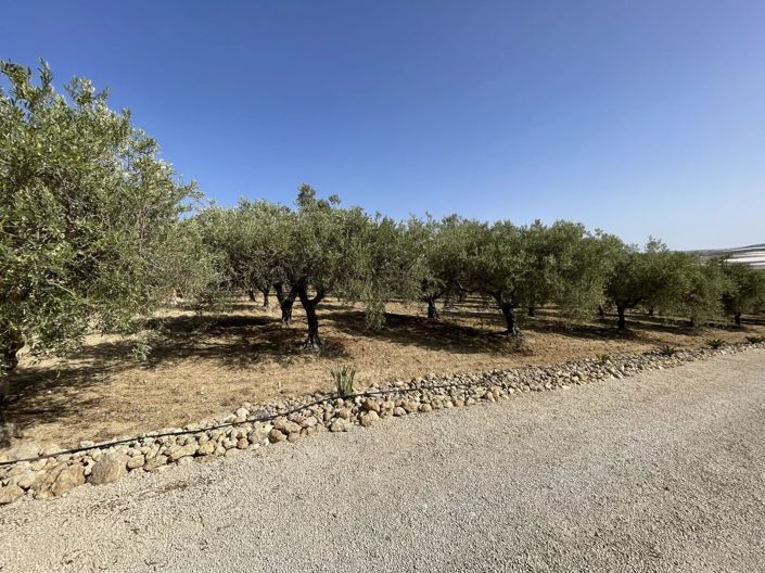 Image No.8-4 Bed House for sale